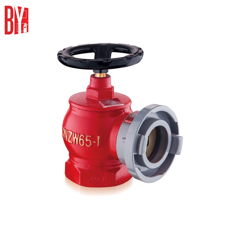 DN50/65mm Indoor Fire Hydrant