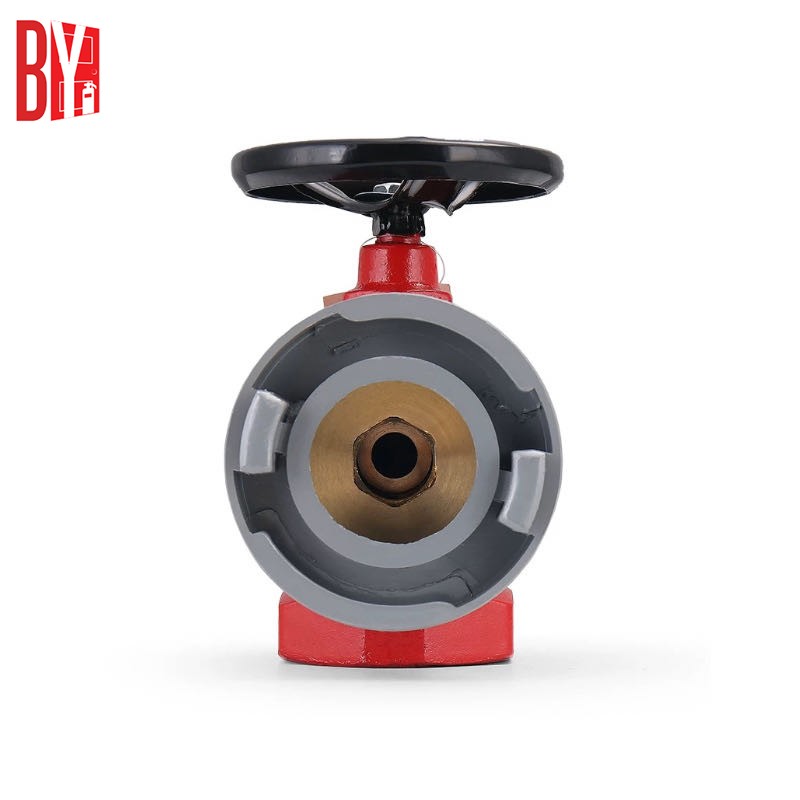 DN50/65mm Indoor Fire Hydrant