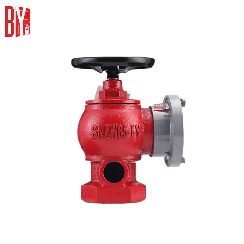 Ductile Iron Double Outlets Indoor fire Hydrant