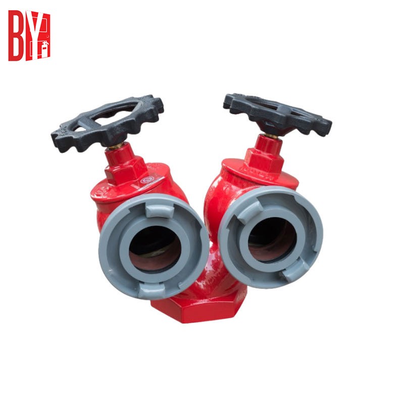 Ductile Iron Double Outlets Indoor fire Hydrant