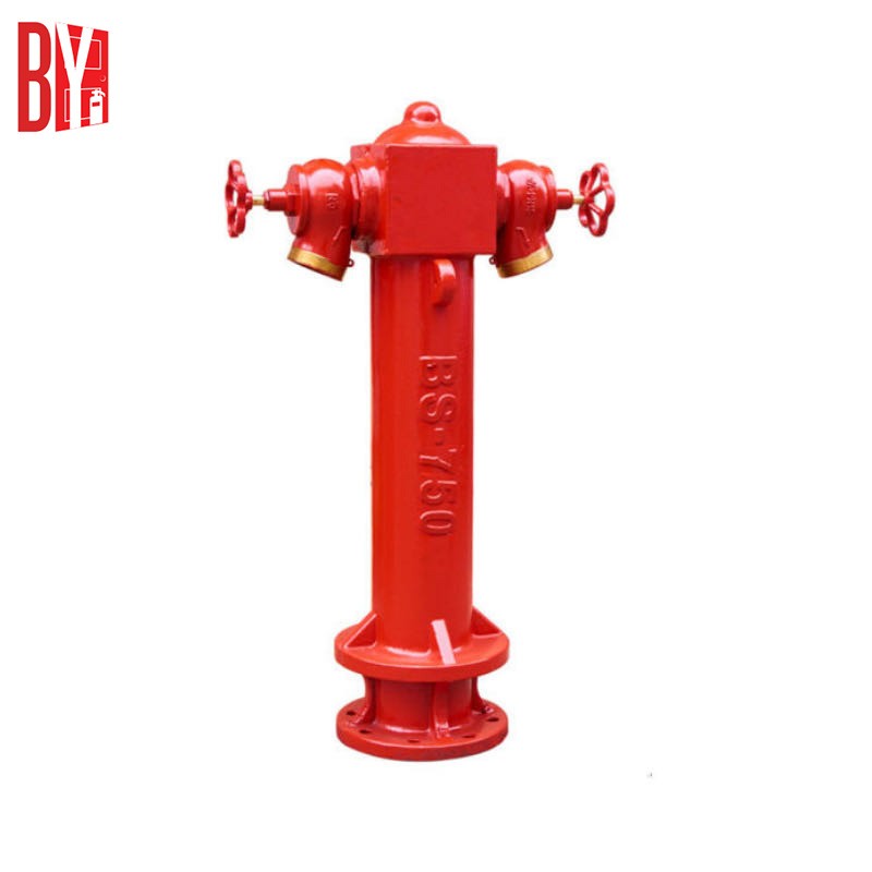 BS750 Ground Fire Hydrant 