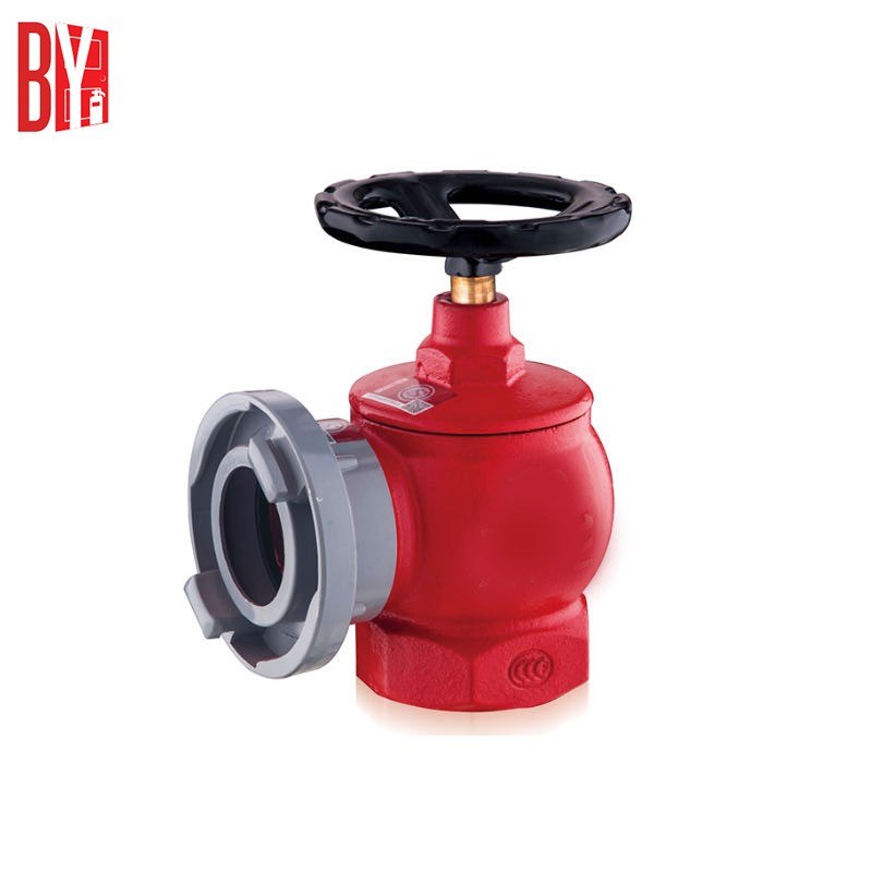 Ductile Iron Double Outlets Indoor fire Hydrant