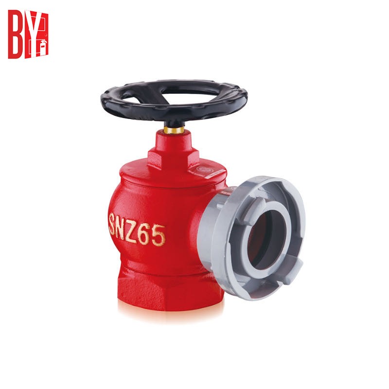 DN50/65mm Indoor Fire Hydrant