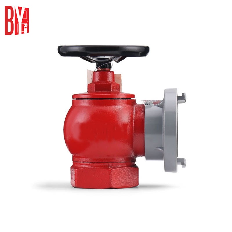 DN50/65mm Indoor Fire Hydrant