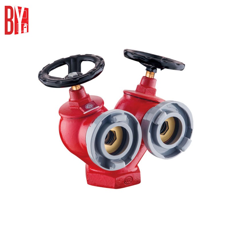 Ductile Iron Double Outlets Indoor fire Hydrant