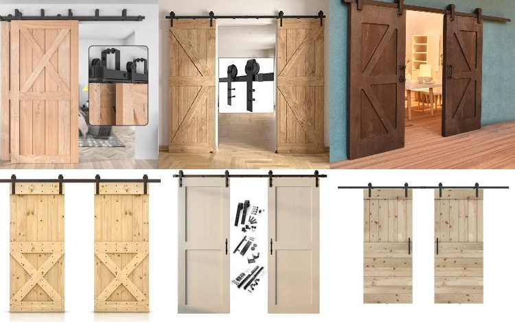 Interior Double Sliding Barn Doors(图1)